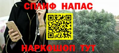 apvp Пушкино