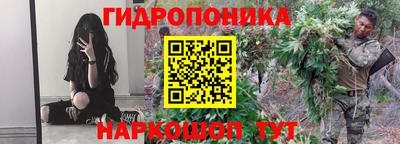 apvp Пушкино
