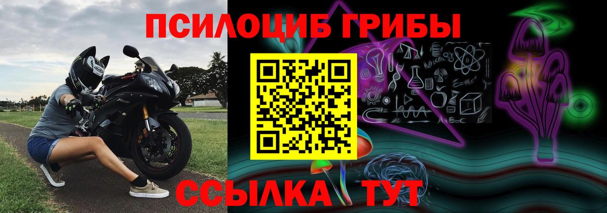 Обнинск  Псилоцибиновые грибы MAGIC MUSHROOMS  Галлюциногенные грибы Magic Shrooms  Вход с VPN 